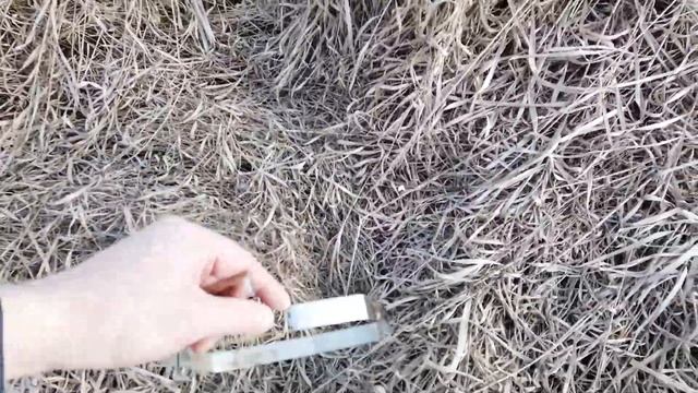 Оборвало монтажную ленту. смотреть онлайн