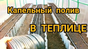 Капельный полив в теплицу своими руками