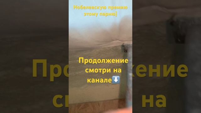 #нобелевскаяпремия #ппу #пенополиуретан #утепление #утеплениедома смотреть онлайн