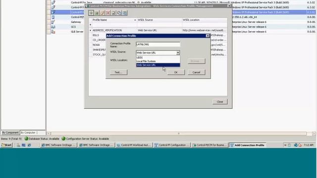 Connect with Control-M: Using WebServices смотреть онлайн