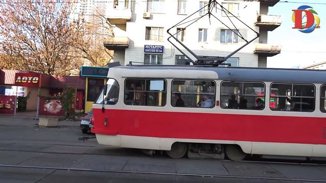 Смех и радость от животных