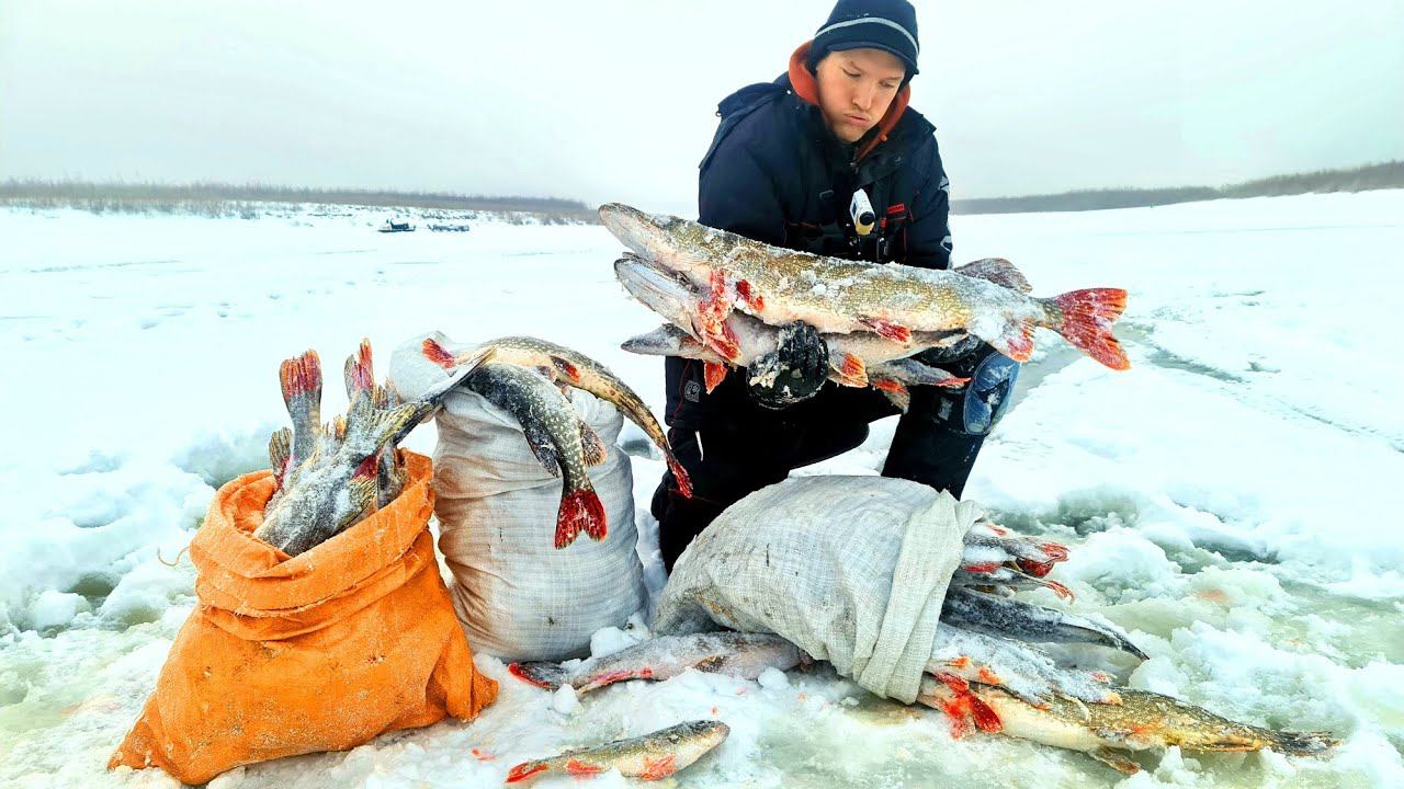 УШЁЛ В ЯМУ, ЛОВИМ МЕШКАМИ! ПЕРВАЯ КРОВЬ, ПОТОП, ДРОВА, ЕДА, ЯКУТИЯ! смотреть онлайн