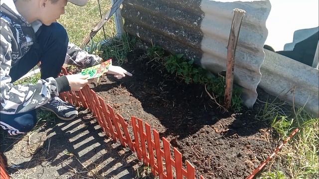 САЖУ КАРТОШКУ В ДОМЕ ШКОЛЬНИКА? #26