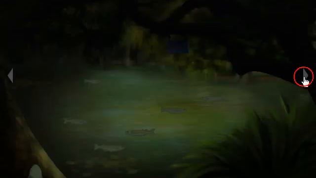Cursed Swamp Escape Walkthrough смотреть онлайн