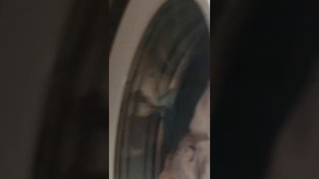 , диагностика стиральной машины Vestel