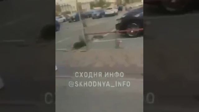разборка со стрельбой смотреть онлайн