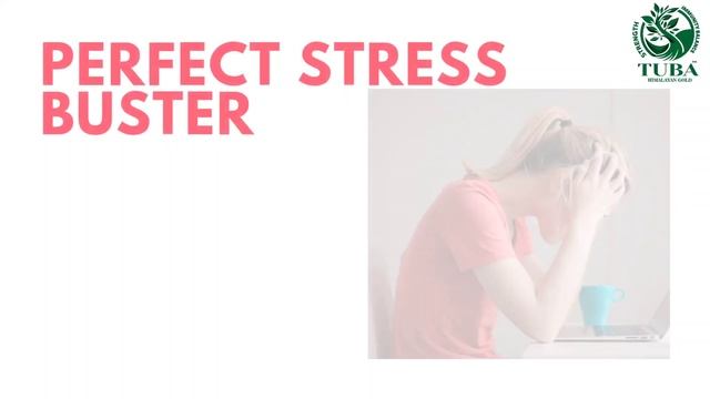 Tuba CORDYCEPS MILITARIS a medicinal mushroom which is a precious herb from ancient time смотреть онлайн