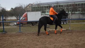 Как нужно падать с лошади