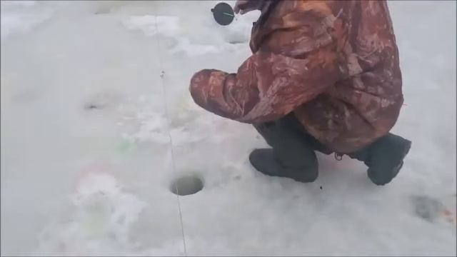 Рыбалка на Спортзоне в Савельево на Ленинградке.11.03.17г смотреть онлайн