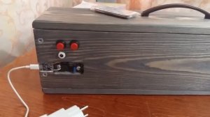 Собрал блютуз бумбокс  колонку своими руками, с FM радио на усилителе PAM8610.