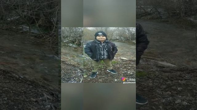 Like_7082076174937838027.mp4