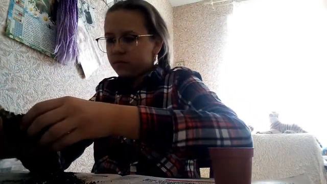 Пересадка кактуса💖💕💖🌵 смотреть онлайн