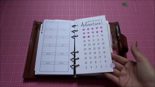 Gillio Medium Compagna Setup Jan. 2017 смотреть онлайн
