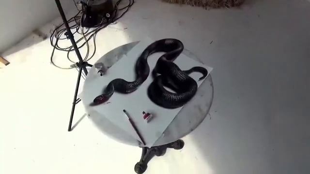 Человек очень круто рисует 3D рисунки смотреть онлайн