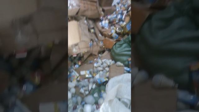 electorates repir bangla light смотреть онлайн