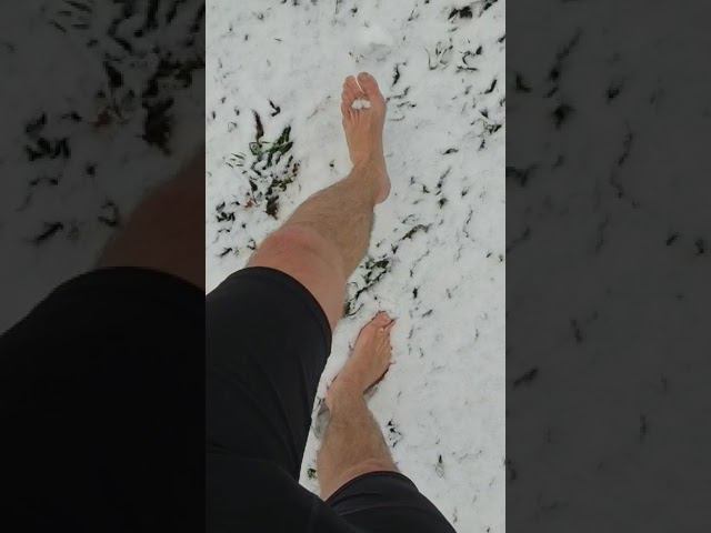 #бег #зож #тренировки #спорт #закаливание смотреть онлайн