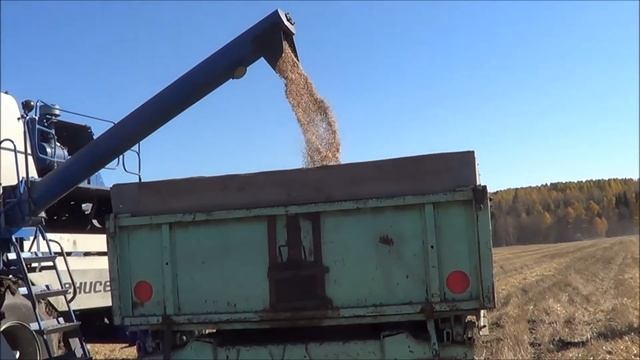 ХЛЕБ- ВСЕМУ ГОЛОВА смотреть онлайн