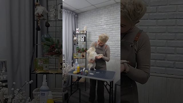 Сериал "Давай жить вместе" серия 8 смотреть онлайн