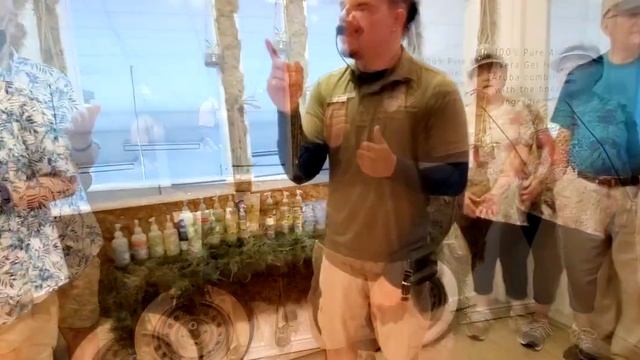 Odyssey of the Seas Cruise, Caribbean, Aruba, Excursion смотреть онлайн