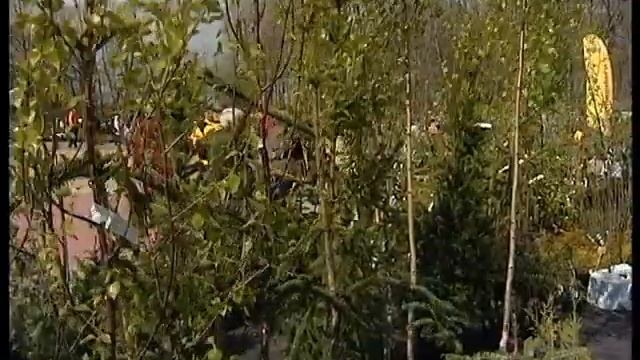 Питомник в Калснаве смотреть онлайн