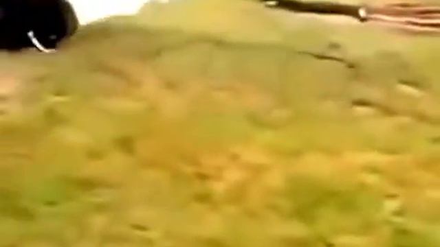 ЧЕРТИ!!! УТОПИЛИ СЕМЕРОЧКУ смотреть онлайн