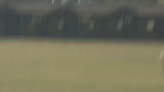 Watch a Bird Deflect a Player's Ball Out of Bounds - Golf Rules смотреть онлайн