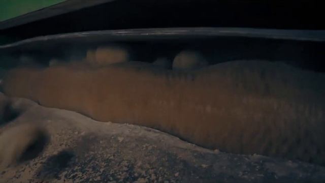 Давайте знакомиться, ЯрКартофель смотреть онлайн