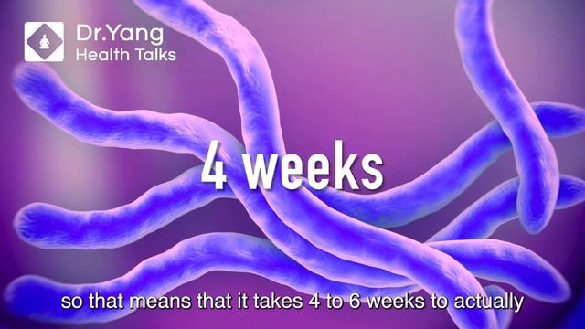 Dr. Ann Corson Talks About Lyme Disease