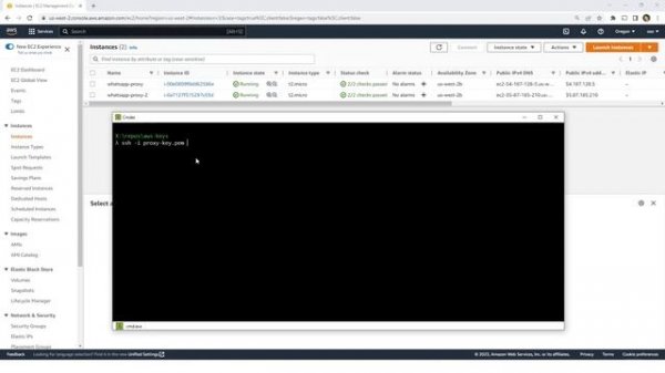 How to Create a Proxy Server for WhatsApp