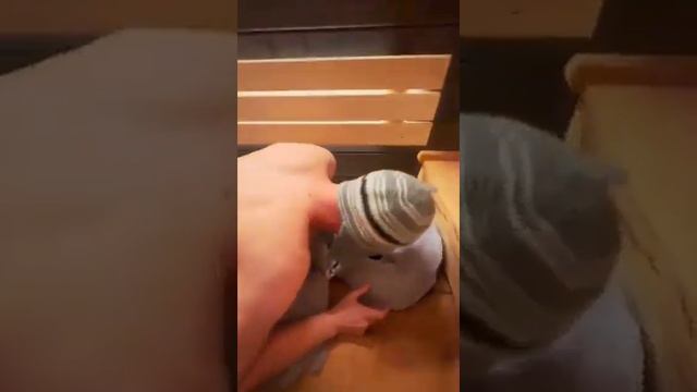 Печь Sangens - баня без ограничений! Доказано командой компании Woodson в городе Краснодар. смотреть онлайн