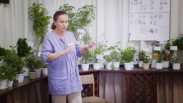 Необыкновенные приключения русских женщин в Лондоне. Часть1 смотреть онлайн