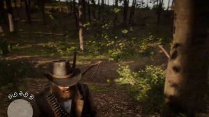 Легендарная лиса RDR 2