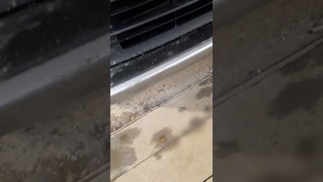 Кузов-сибирь НСК