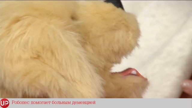 Совы VS Жаворонки смотреть онлайн