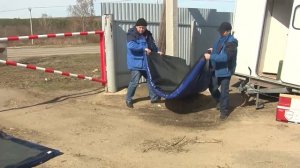 Африканская чума свиней: чем чревата и как с ней бороться.