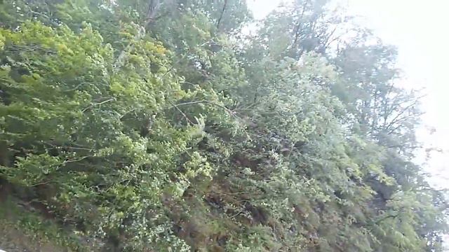 Едем не речку с перекатами. Катаемся на доске смотреть онлайн