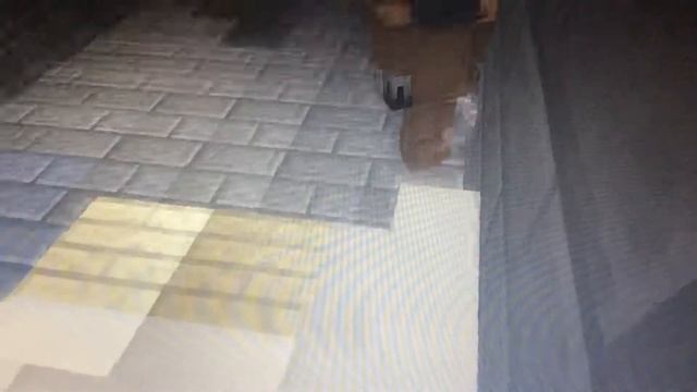 Minecraft -dead Zone сериал - загадочный монстр