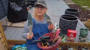 Как посадить розы в контейнеры/вазоны ??Плетистые розы от Дэвида Остина???