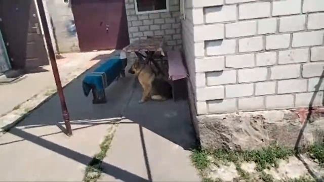 Домашнее Видео у родителей. Днепропетровская область смотреть онлайн