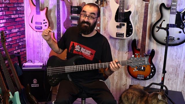 Schecter Stiletto Studio 8 - Checking out the Octaving Octapus! - LowEndLobster Fresh Look смотреть онлайн