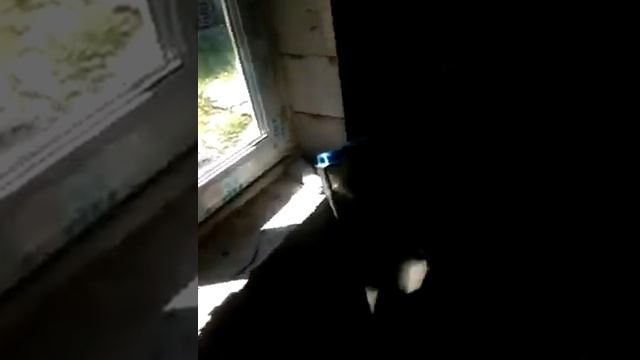 Остекление, отзыв довольного клиента, о компании Альбатрос. смотреть онлайн
