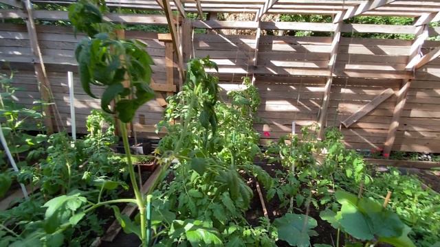 ОДНИ МУЖИКИ / Я ЛЕНИВАЯ, ни ЧЕГО не ХОЧУ смотреть онлайн