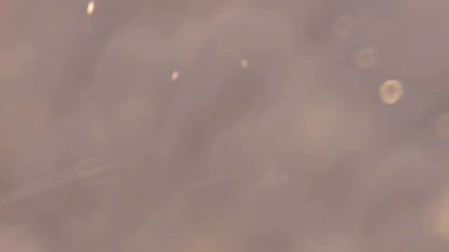 Reaction to Luocha Trailer - "The Traveler And His Oath" | Honkai: Star Rail смотреть онлайн