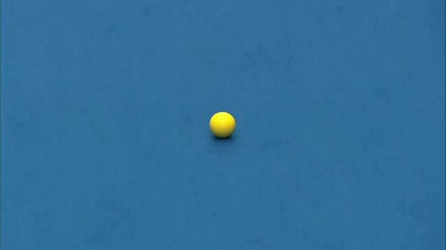 Just. 2019 World Indoor Bowls Championships: THE FINAL!