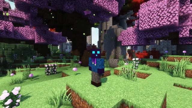 Let ANY Version Join Your Minecraft Server (ViaVersion Tutorial) смотреть онлайн