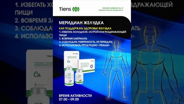 Меридиан желудка. 07:00-09:00. Кальций, Дайджест натурал, Хитозан, Цинк