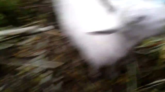 Помогите придумать имя козлятам. смотреть онлайн