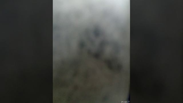 PIXECT-V20230805111007.webm