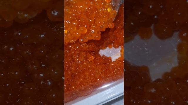 Икра красная кета НАТУРАЛЬНАЯ Кodiak сорт А смотреть онлайн