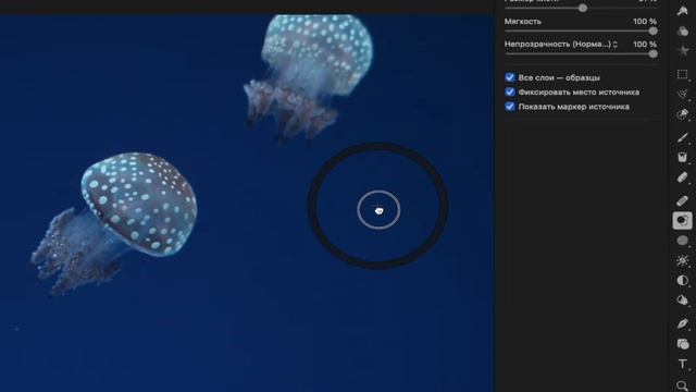 Все о ретуши в Pixelmator Pro/Ретушь фотографии, обучение/редактирование Mac OS смотреть онлайн